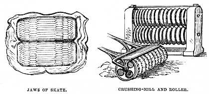 Image unavailable: JAWS OF SKATE. CRUSHING-MILL AND ROLLER.