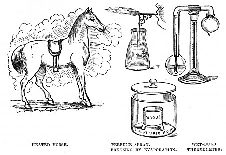 Image unavailable: HEATED HORSE.  PERFUME SPRAY.  FREEZING BY EVAPORATION.  WET-BULB THERMOMETER.