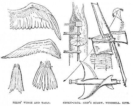 Image unavailable: BIRDS’ WINGS AND TAILS. SMOKE-JACK. SHIP’S SCREW. WINDMILL. KITE.