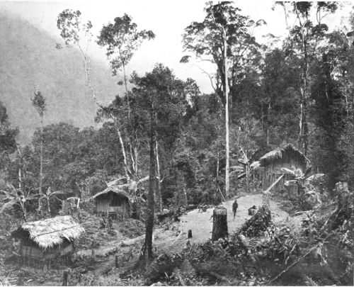 WAMBERI-MERBIRI, THE VILLAGE OF THE TAPIRO PYGMIES.