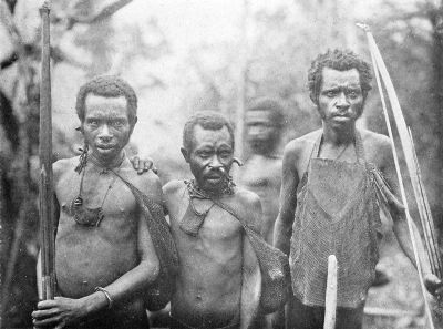 TYPES OF TAPIRO PYGMIES.