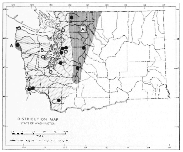 Fig. 22.