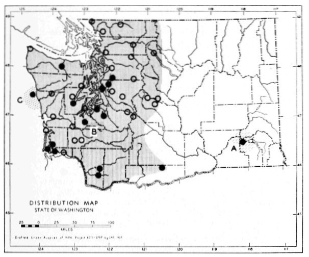 Fig. 28.