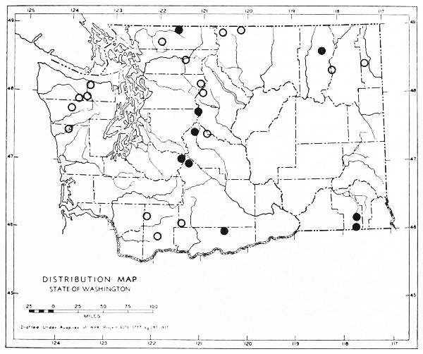 Fig. 31.