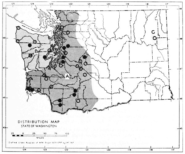 Fig. 32.