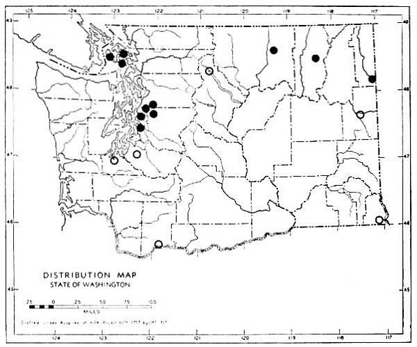 Fig. 45.