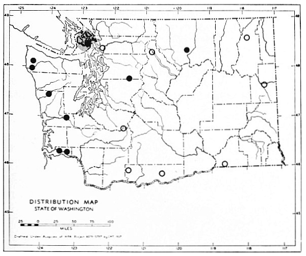 Fig. 63.