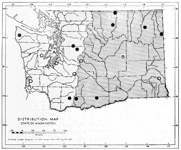 Fig. 79.