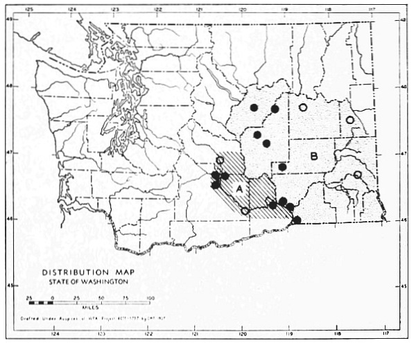 Fig. 84B.