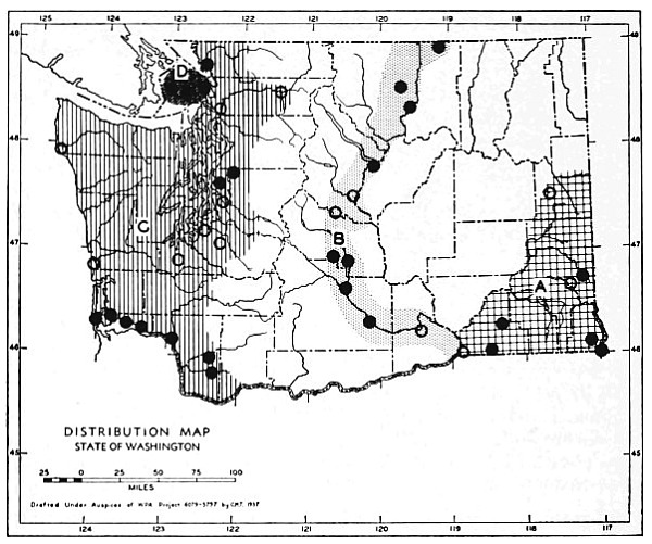 Fig. 114.