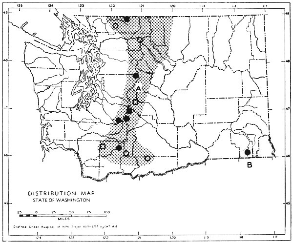 Fig. 117.