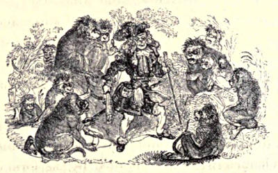 A man, dressed in the style of a Cavalier, surrounded by a group of baboons. I have no idea what is going on here.