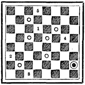 Checkerboard showing the layout described