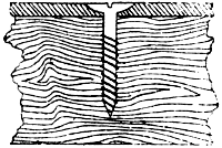 Schraube