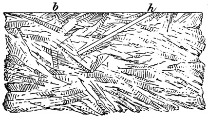 fault line