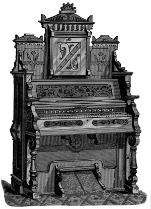 organ