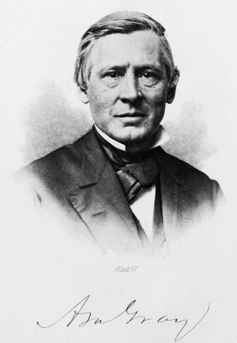 Photo of Asa Gray (signed)