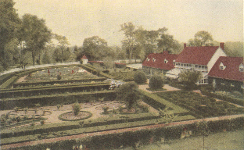 Flower Garden