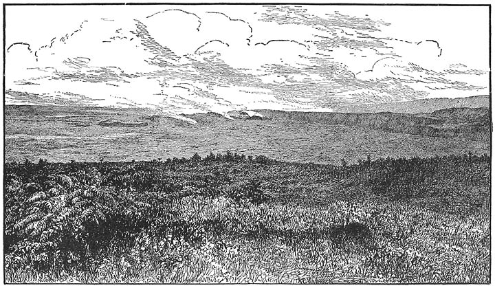 Bird’s-eye View of the Crater of Kilauea.