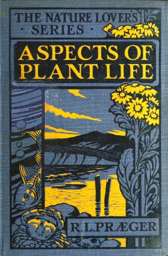 [Image of the book's cover unavailable.]