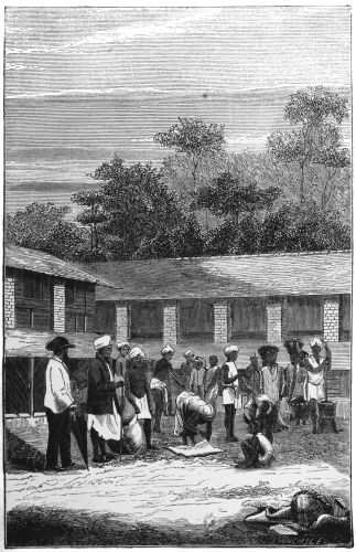 Plate 9.—The Barbecue, or Drying-Floor, Messrs. Worms’ Estates, Puselawa.