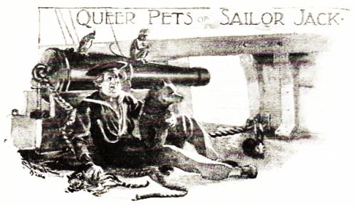 QUEER PETS OF SAILOR JACK