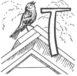 Illustrated capital T