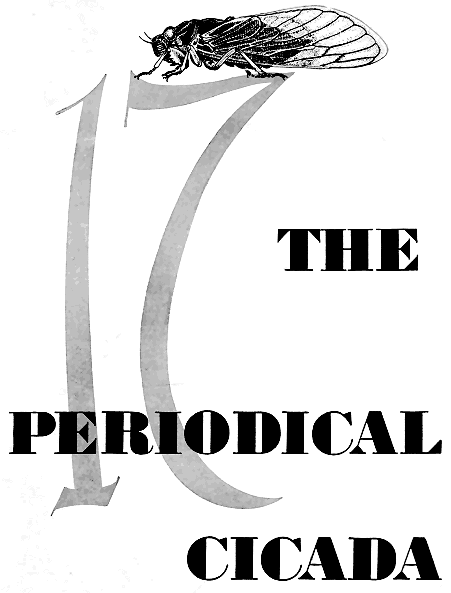 THE PERIODICAL CICADA