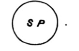 Euler diagram for all S is P and all P is S