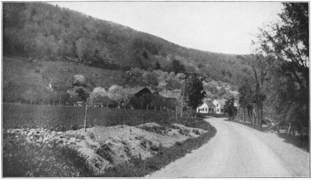 APPLE ORCHARDS IN BLOSSOM ON THE SPURS OF THE CATSKILLS