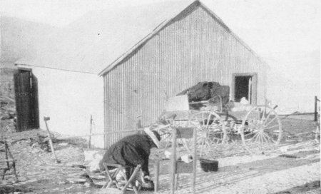 THE CAMP BEHIND THE BARN