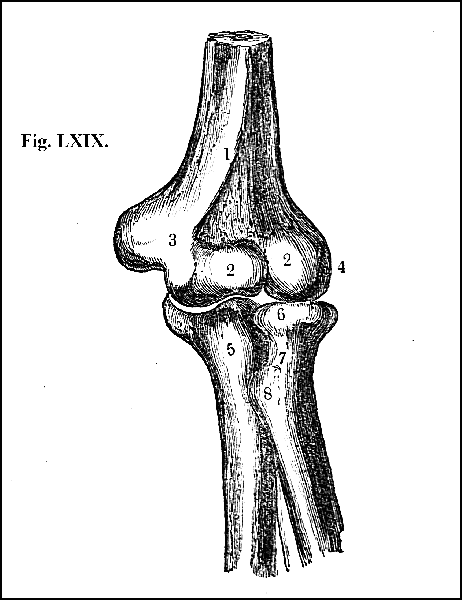 Fig. LXIX.