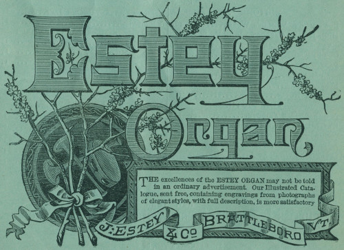 Estey Organ The excellences of the ESTEY ORGAN may not be told in an ordinary advertisement. Our Illustrated Catalogue, sent free, containing engravings from photographs of elegant styles, with full description, is more satisfactory J: Estey & Co Brattleboro Vt.