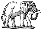 elephant