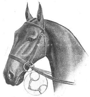 DOUBLE REIN SNAFFLE  BRIDLE, with Flat Ring Bridoon Bit