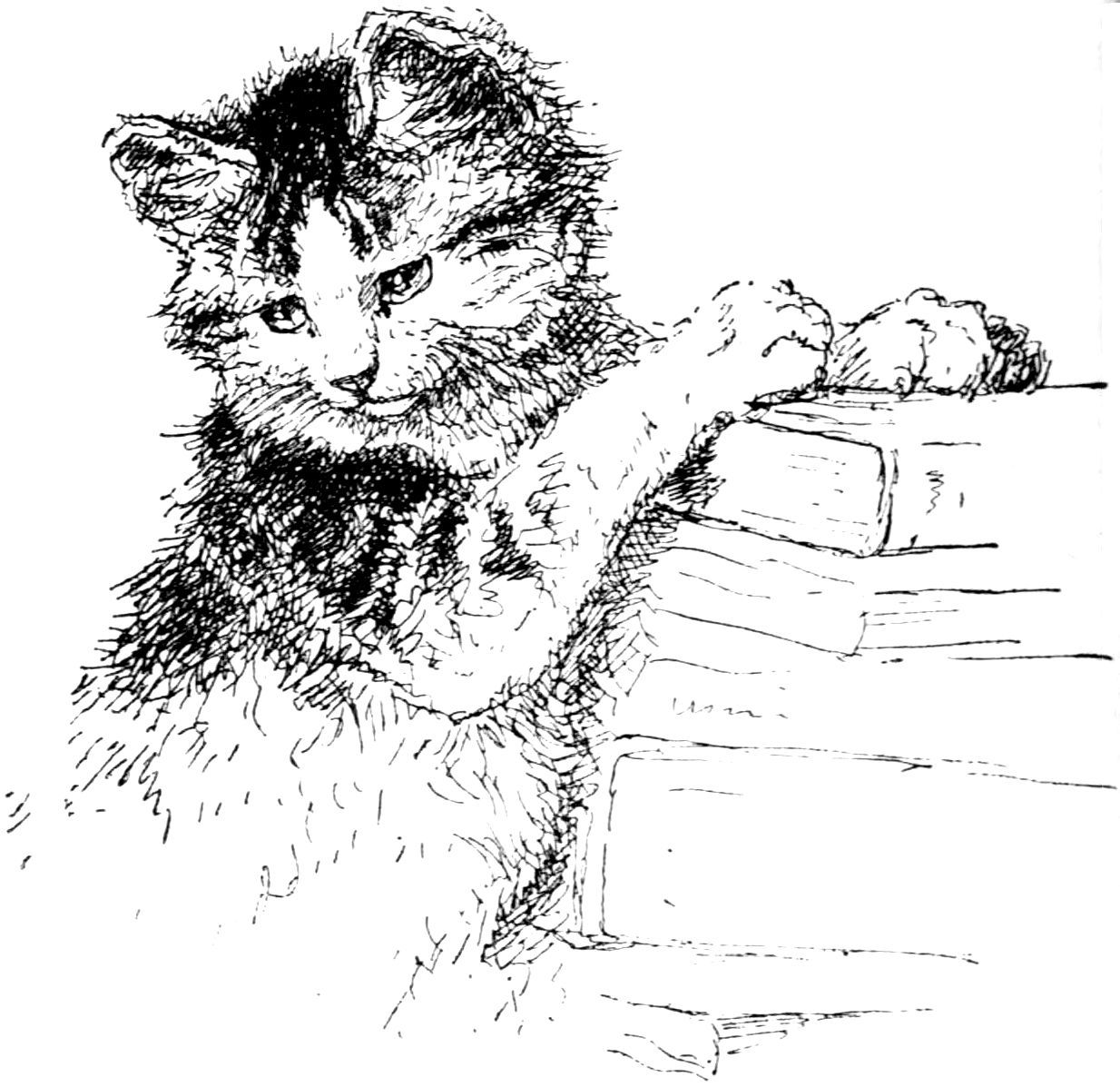 [Cat by Madame Ronner]