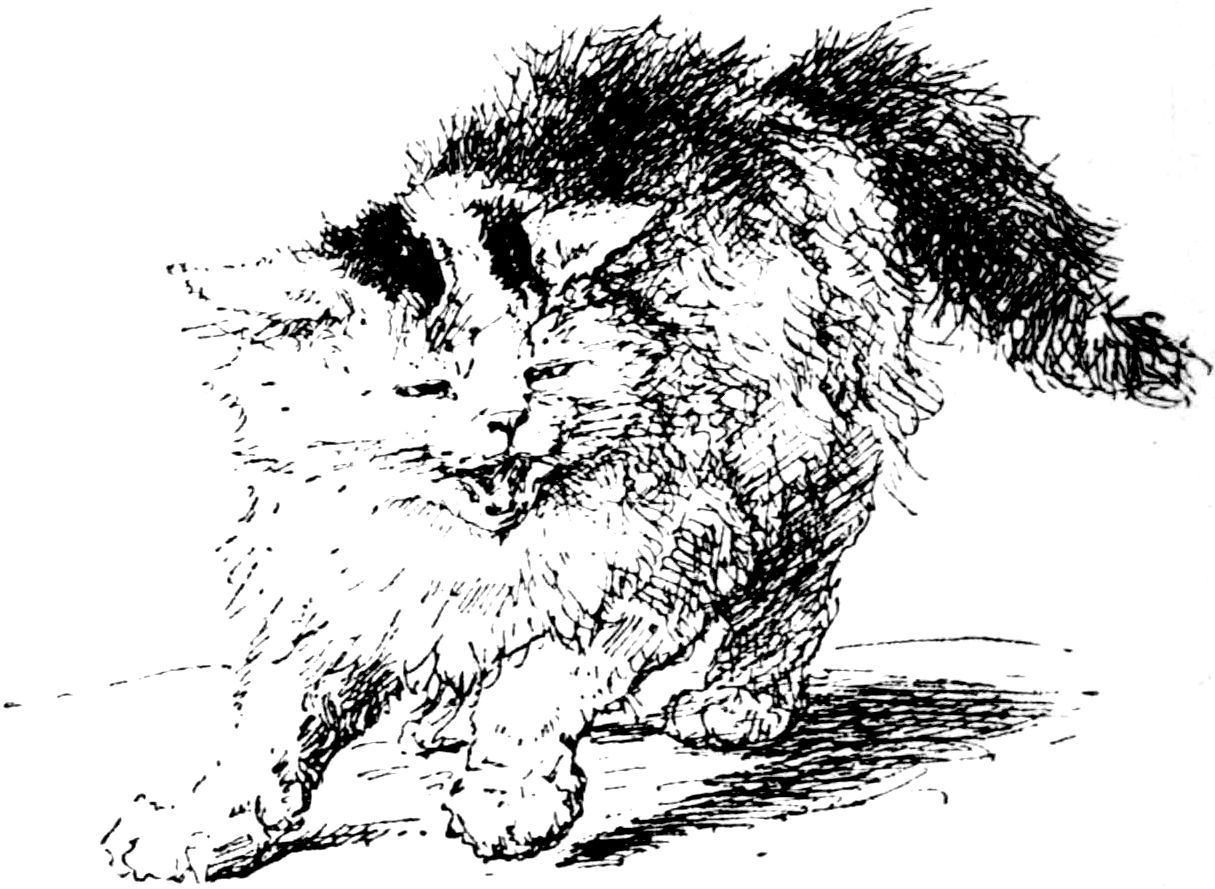 [Cat by Madame Ronner]