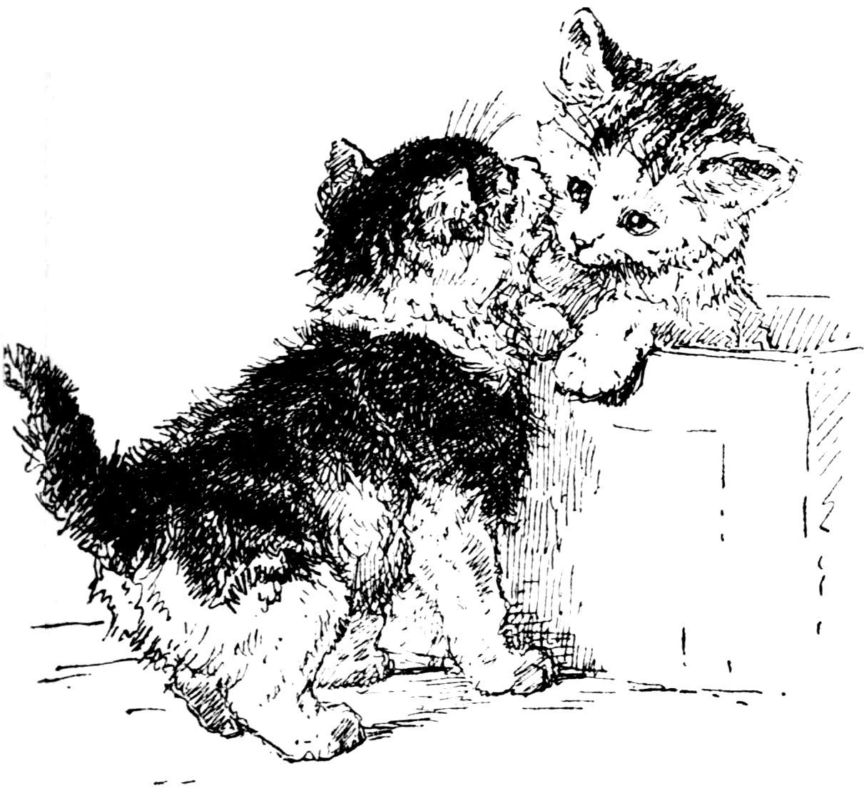 [Kittens by Madame Ronner]