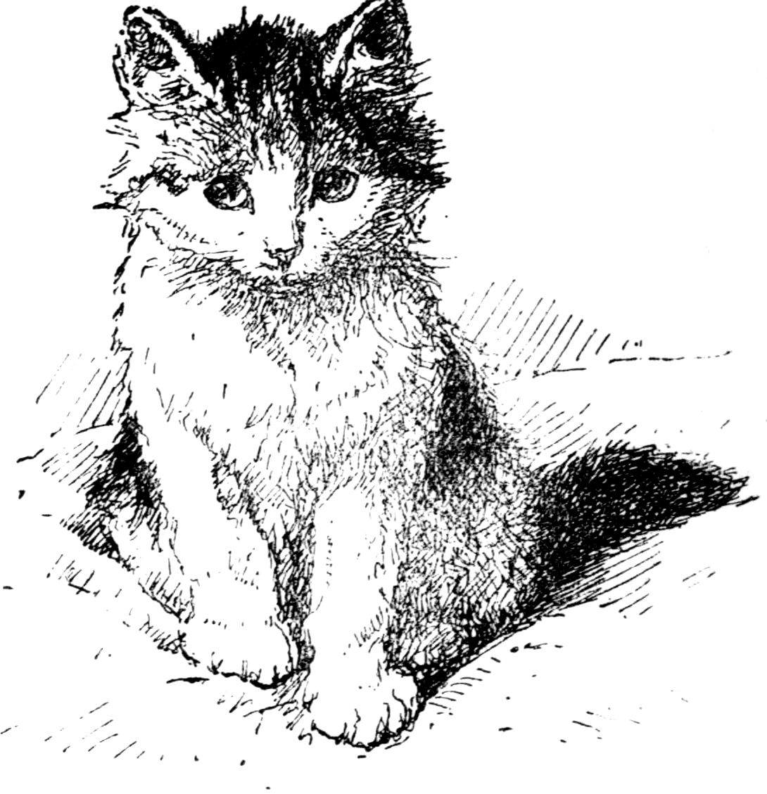 [Kitten by Madame Ronner]