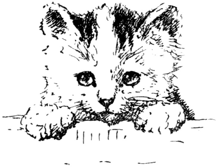 [Kitten by Madame Ronner]