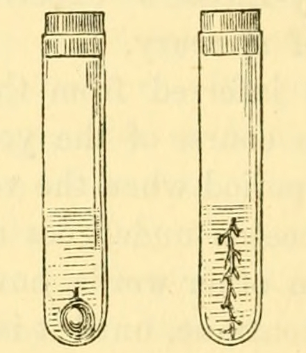 Fig. 32.