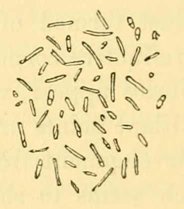 Fig. 74.