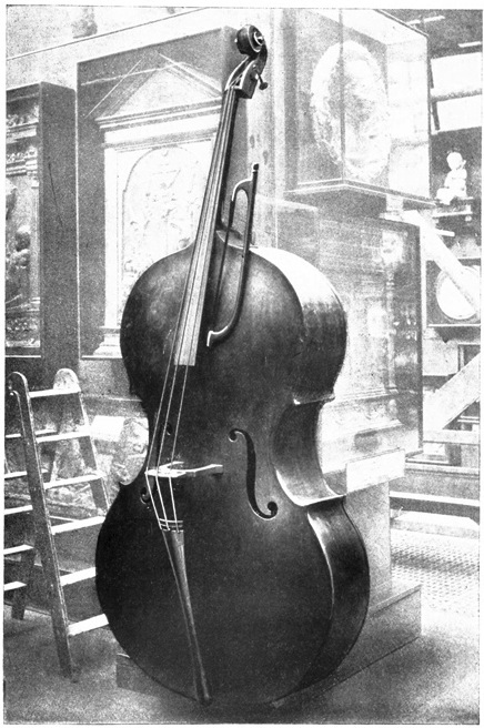 Illustration: Double-Bass