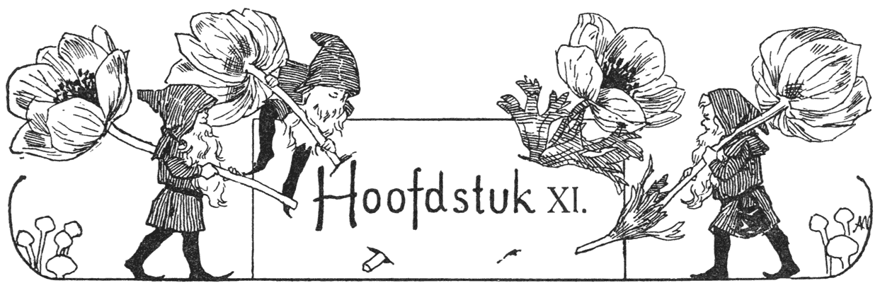 Hoofdstuk XI.