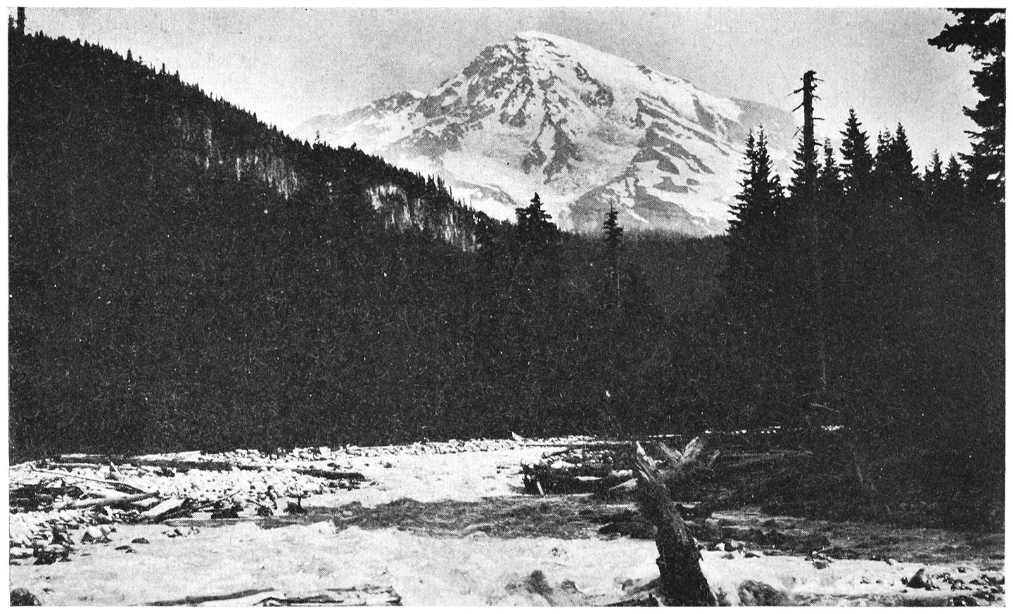 MT. RAINIER, FROM THE NESQUALLY RIVER, WASHINGTON