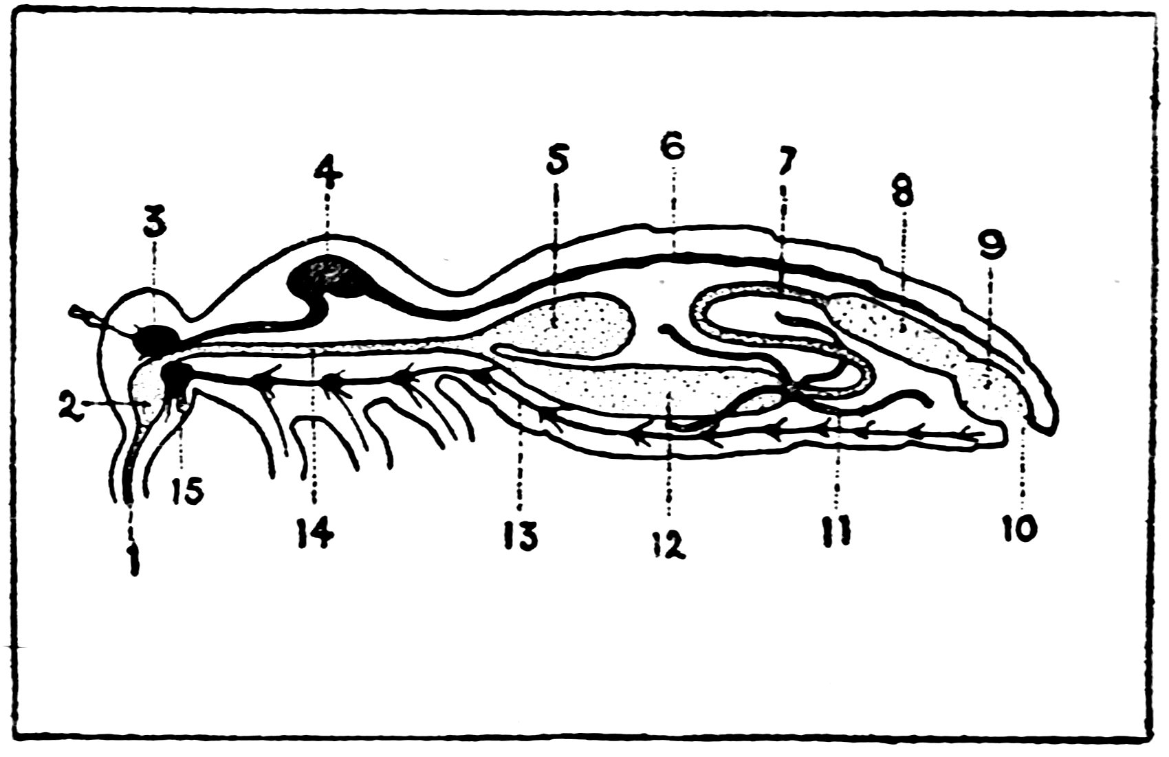 Diagram showing internal structure