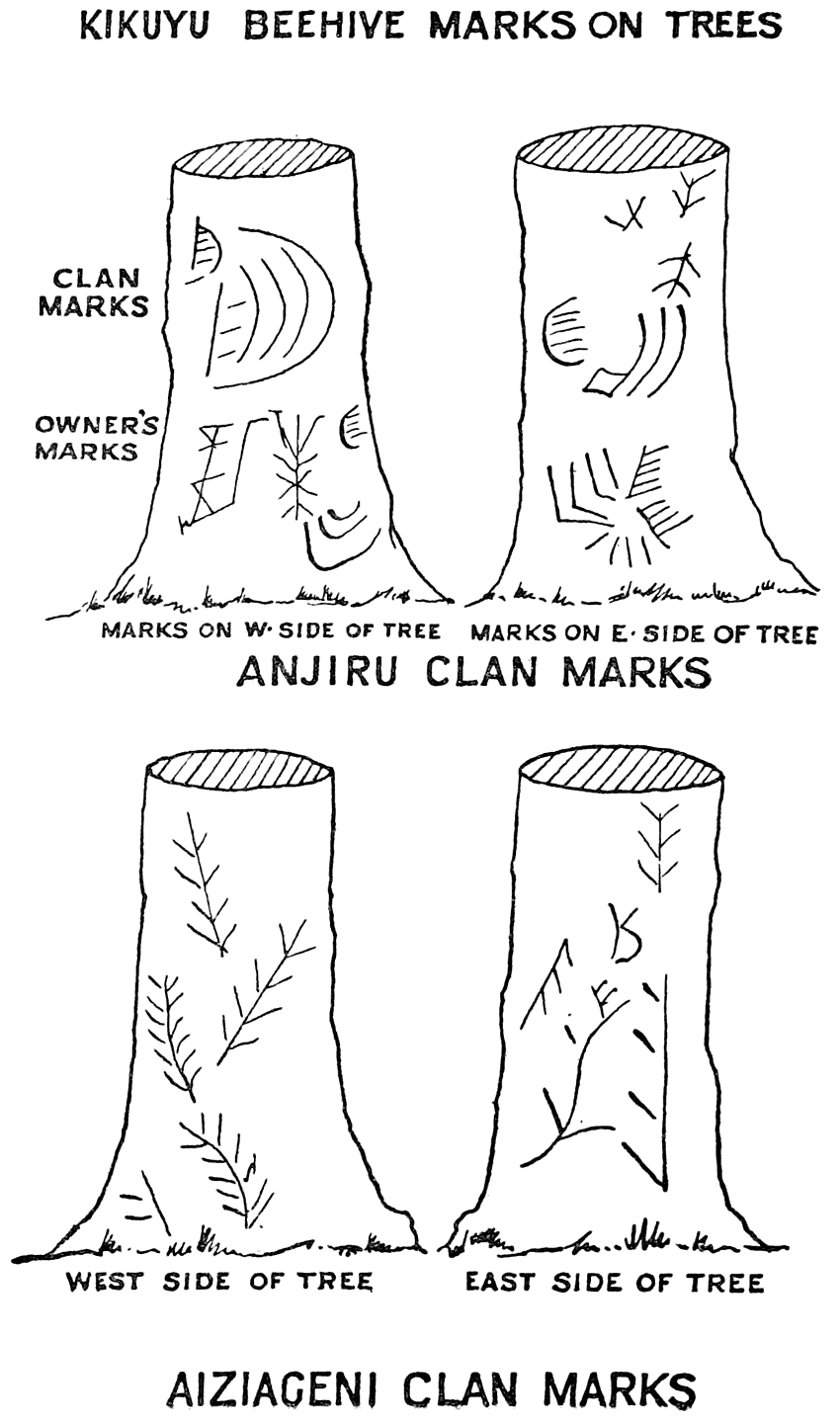 KIKUYU BEEHIVE MARKS ON TREES  CLAN MARKS  OWNER’S MARKS  Marks on W. Side of Tree  Marks on E. Side of Tree  ANJIRU CLAN MARKS  West Side of Tree  East Side of Tree  AIZIAGENI CLAN MARKS