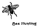 Bee Hunting