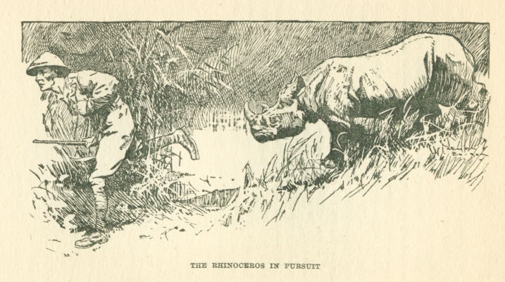 THE RHINOCEROS IN PURSUIT