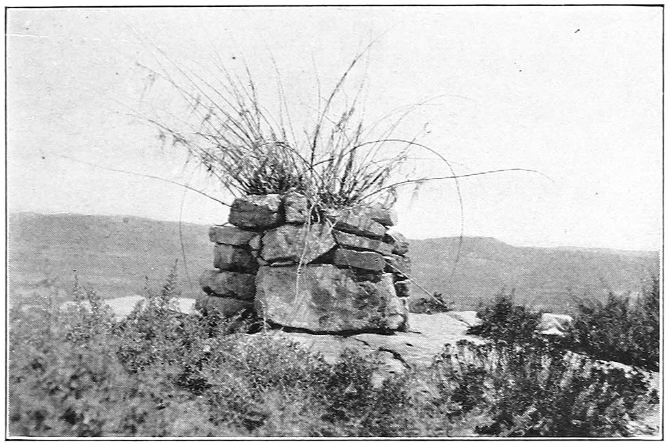 A HOPI SHRINE